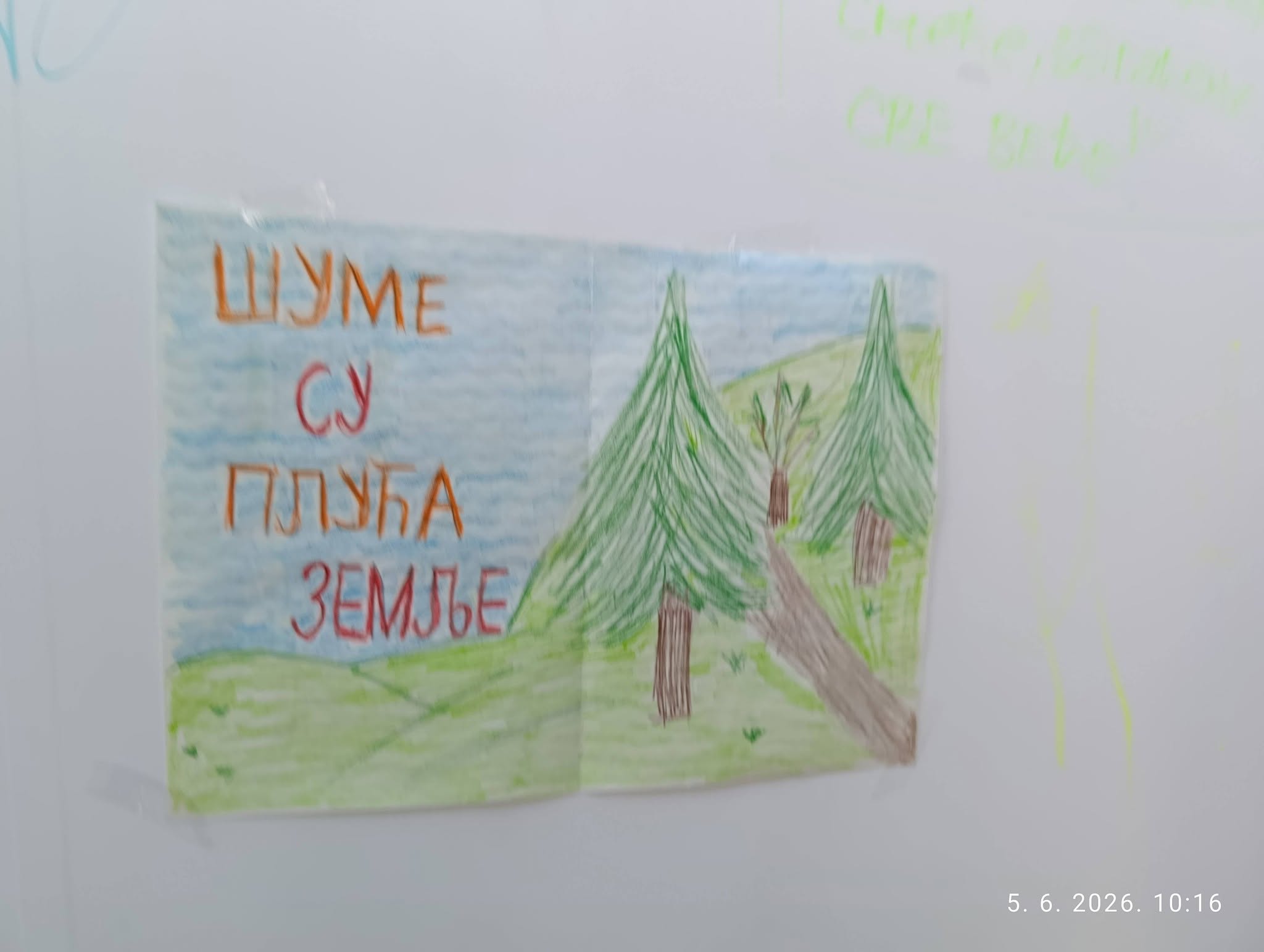 Dan zaštite životne sredine (11)