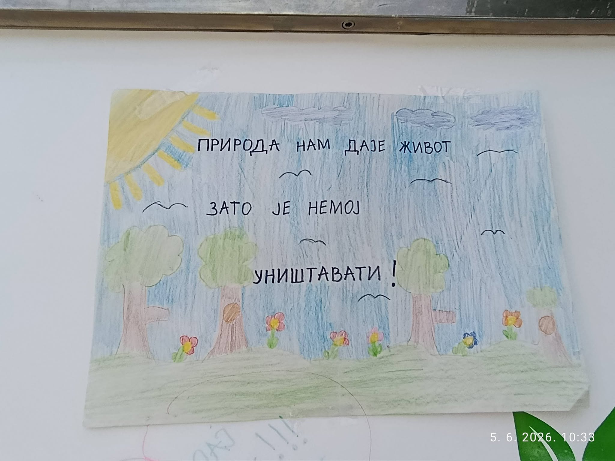 Dan zaštite životne sredine (4)
